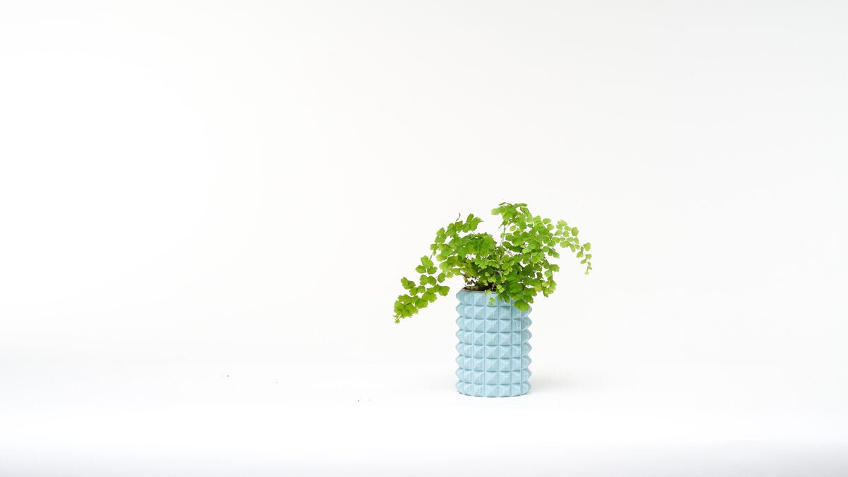 Porcupine Vase - OzFDM
