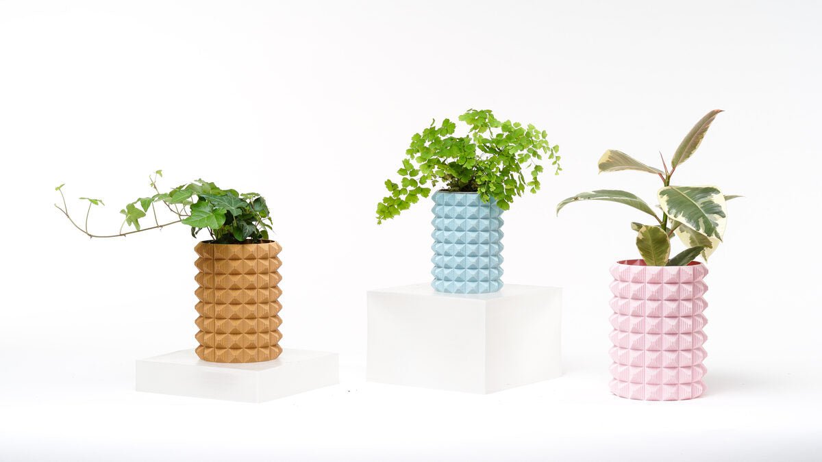 Porcupine Vase - OzFDM