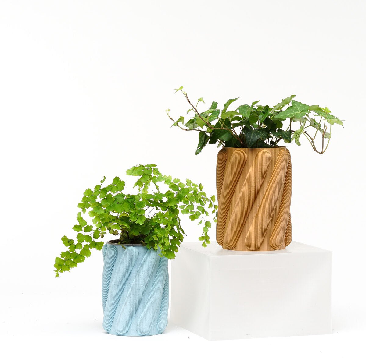 Spaghetti Vase - OzFDM