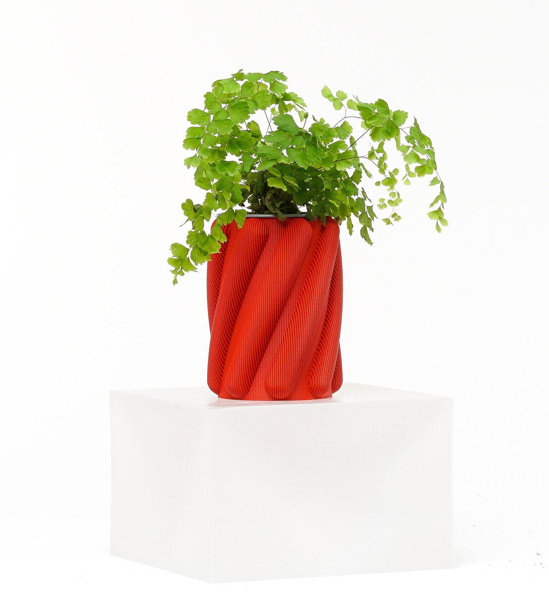 Spaghetti Vase - OzFDM