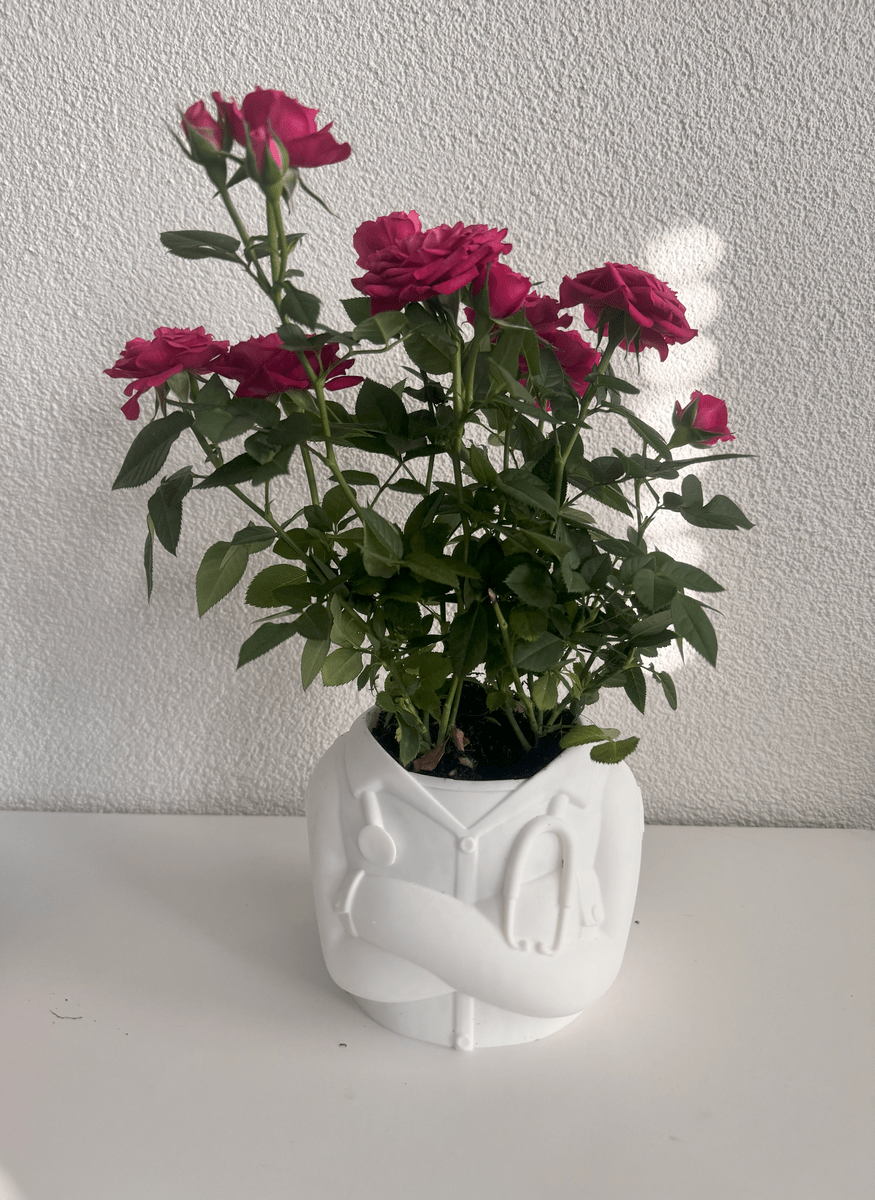 Doctor Planter Pot - OzFDM