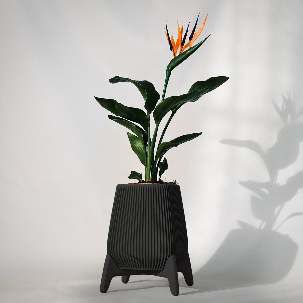 Freya | Standing Planter Pot