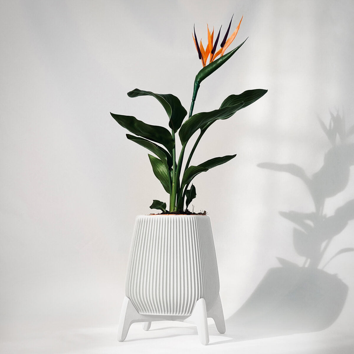 Freya | Standing Planter Pot