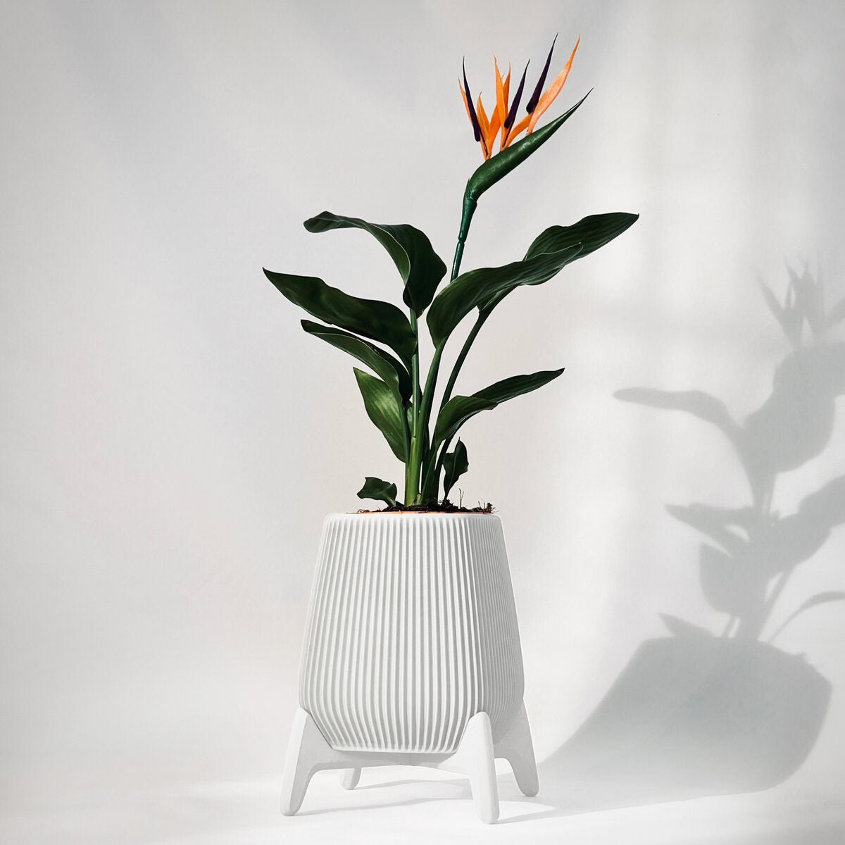 Freya | Standing Planter Pot - OzFDM