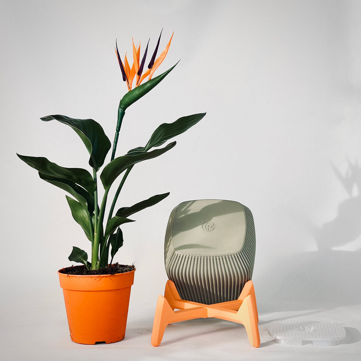 Freya | Standing Planter Pot
