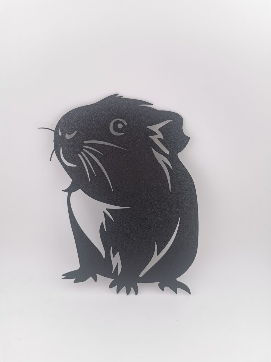2d Guinea Pig