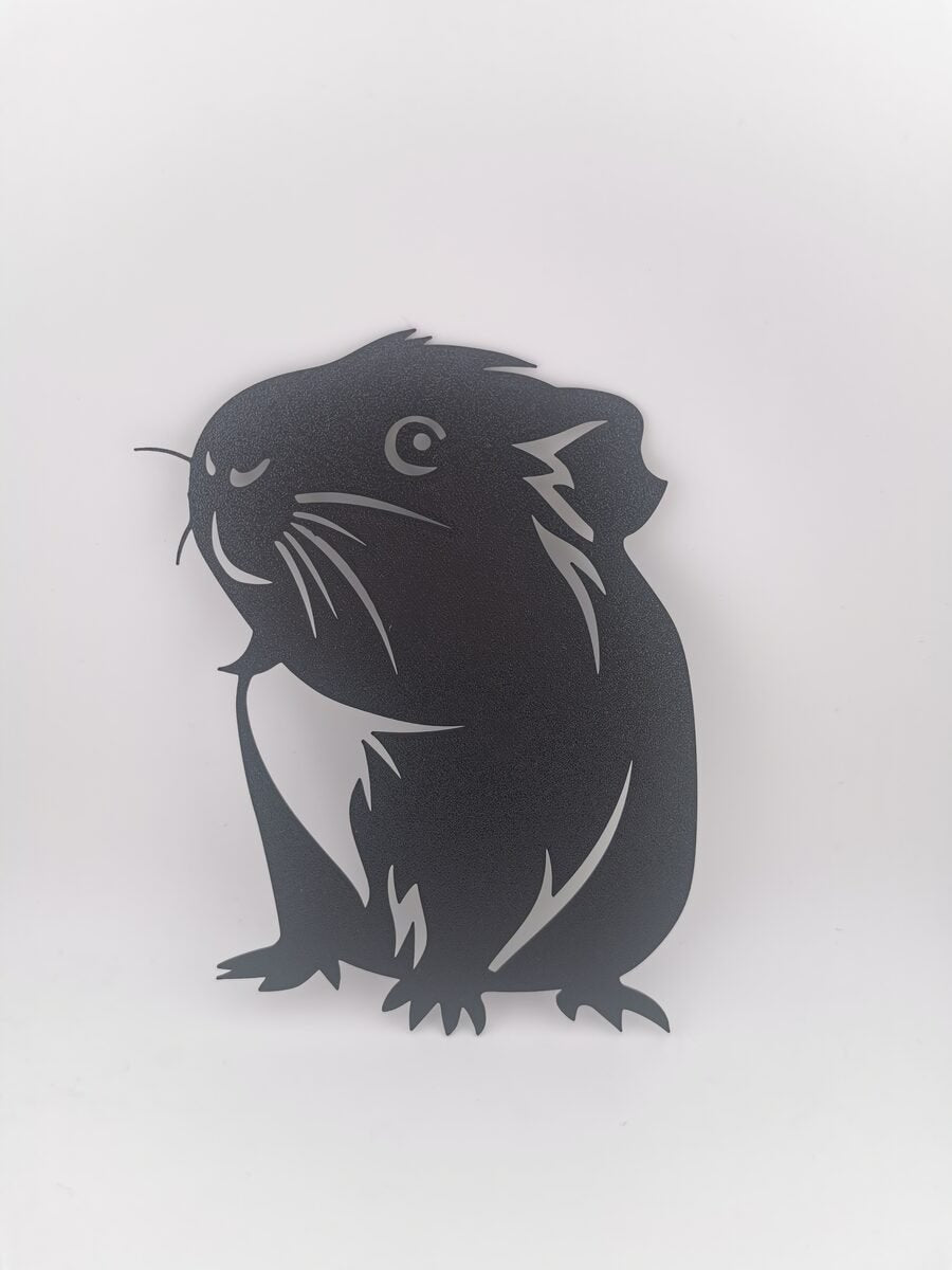 2d Guinea Pig - OzFDM