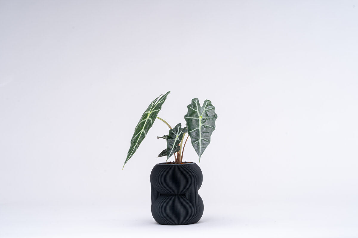 83 Vase