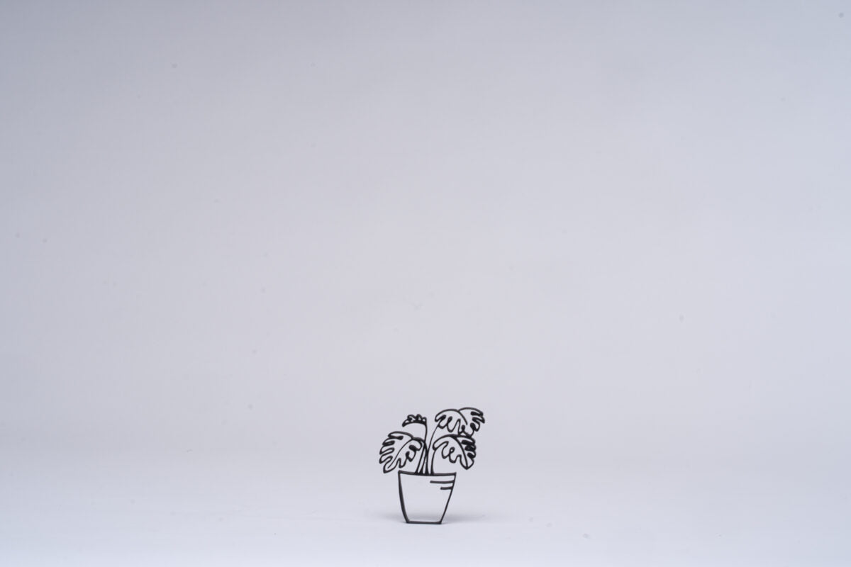 Monstera Houseplant