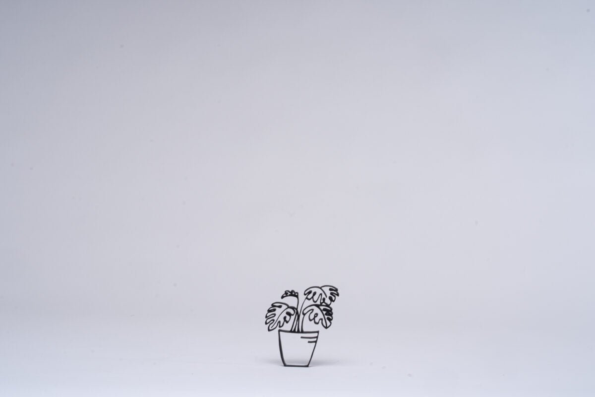 Monstera Houseplant - OzFDM