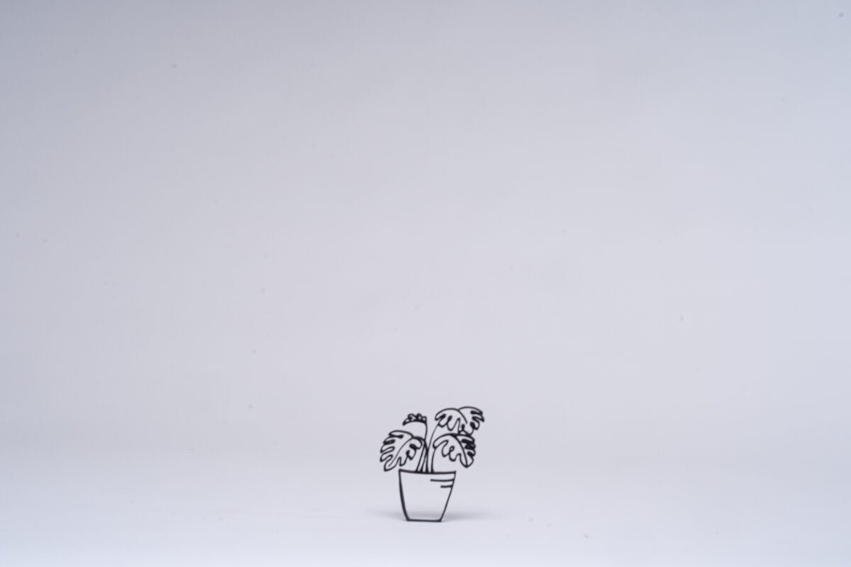 Monstera Houseplant - OzFDM