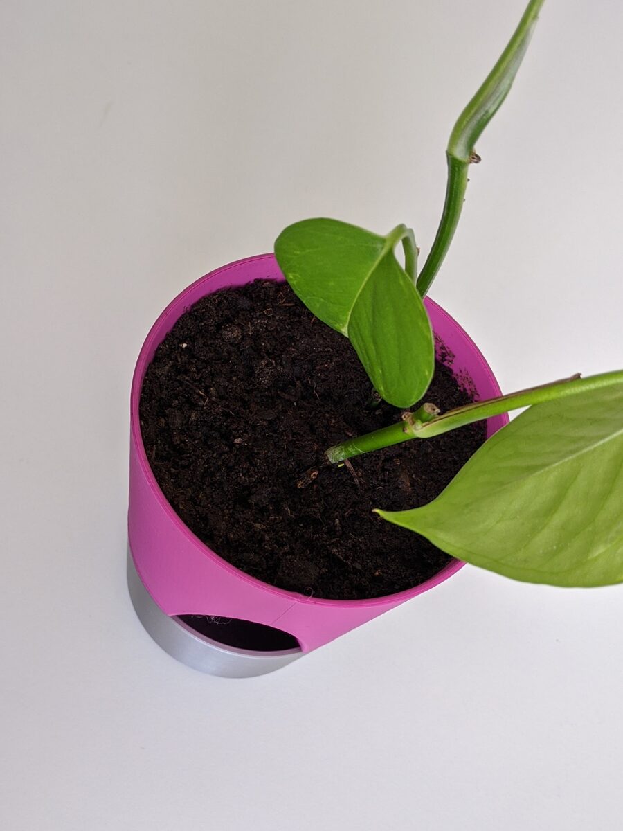 Planter 01