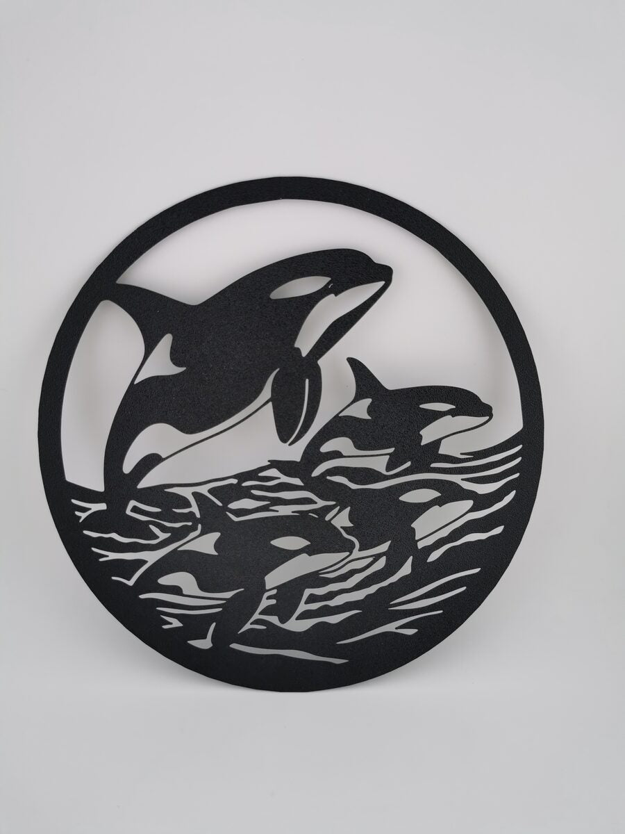 2d Orcas In Ocean