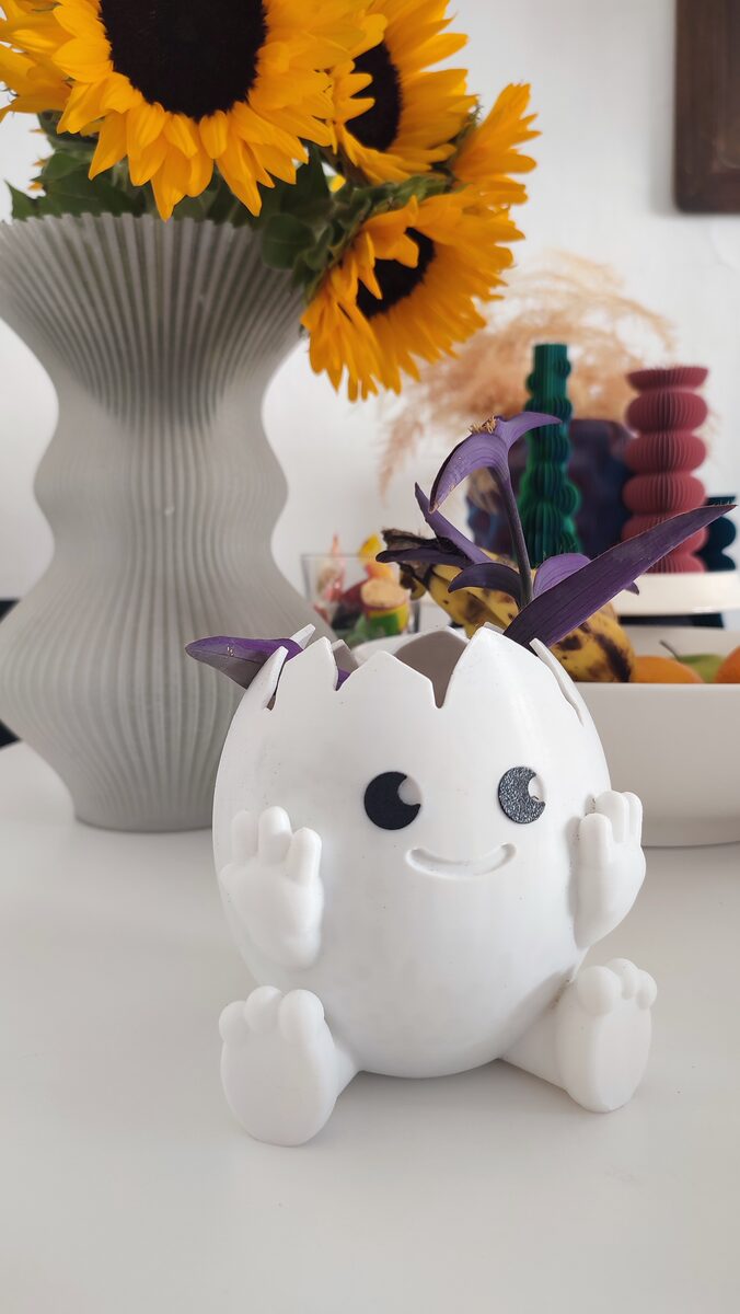Cute Egg Planter