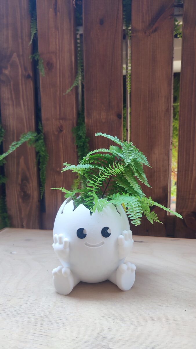 Cute Egg Planter