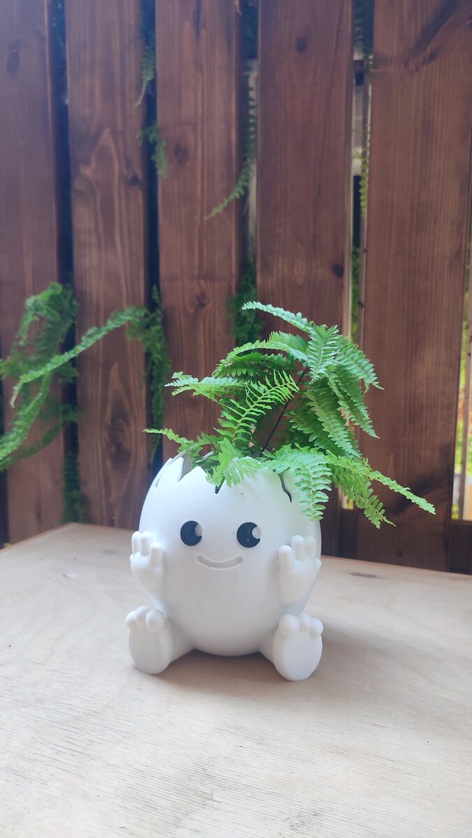 Cute Egg Planter