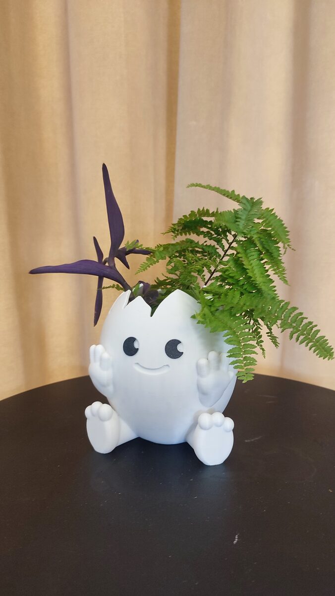 Cute Egg Planter
