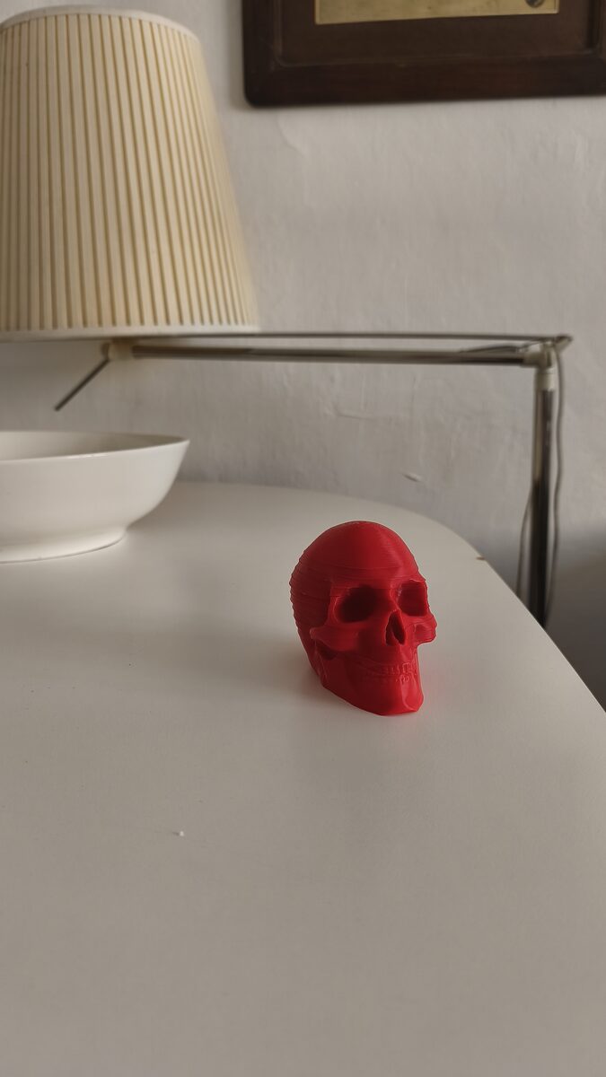Skull Coasters