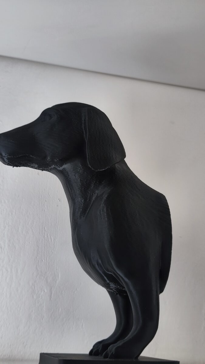 Dog Book Holder