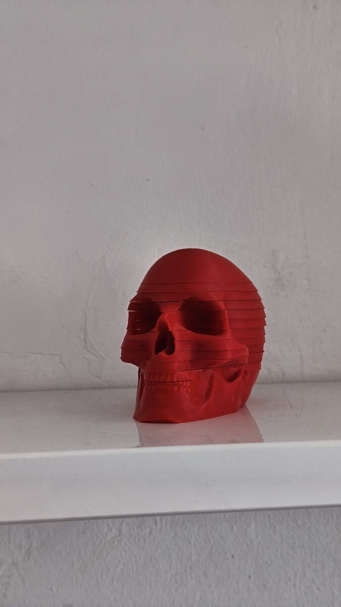 Skull Coasters