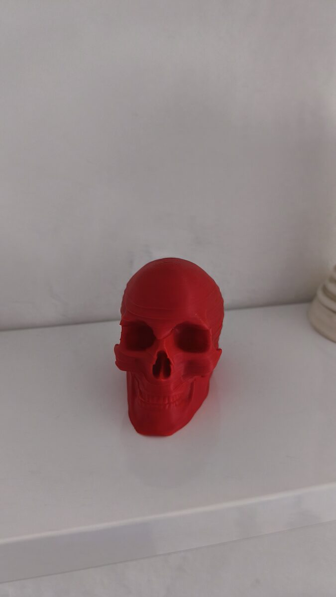 Skull Coasters