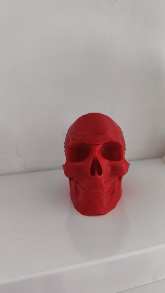 Skull Coasters