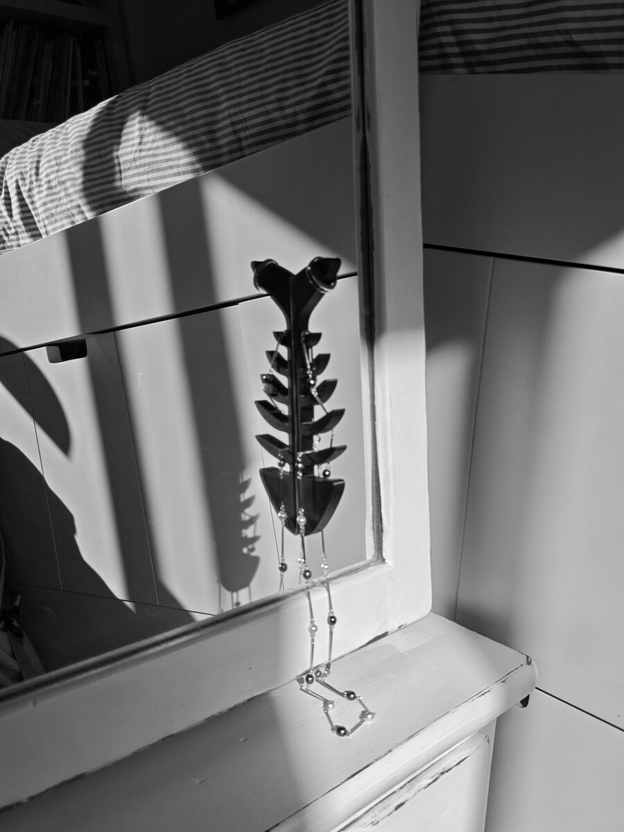 Spine Hooks