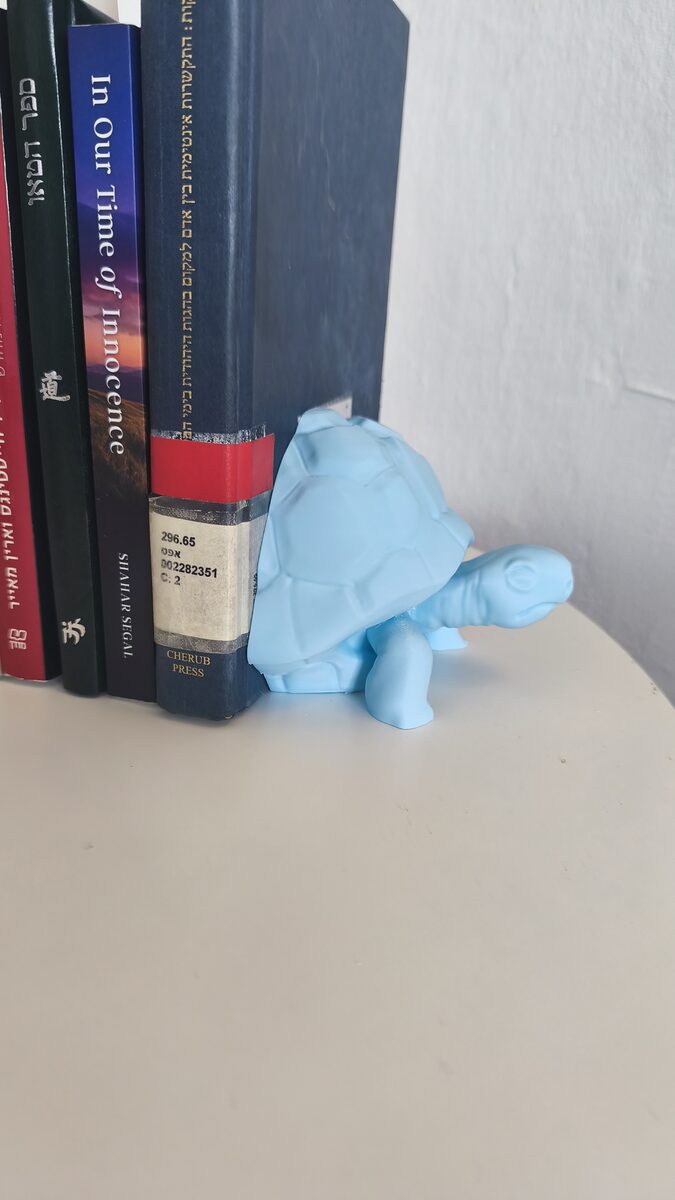 Turtle Bookend
