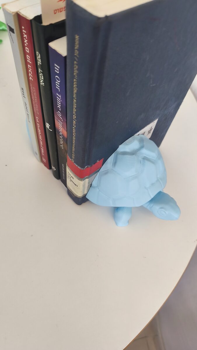Turtle Bookend