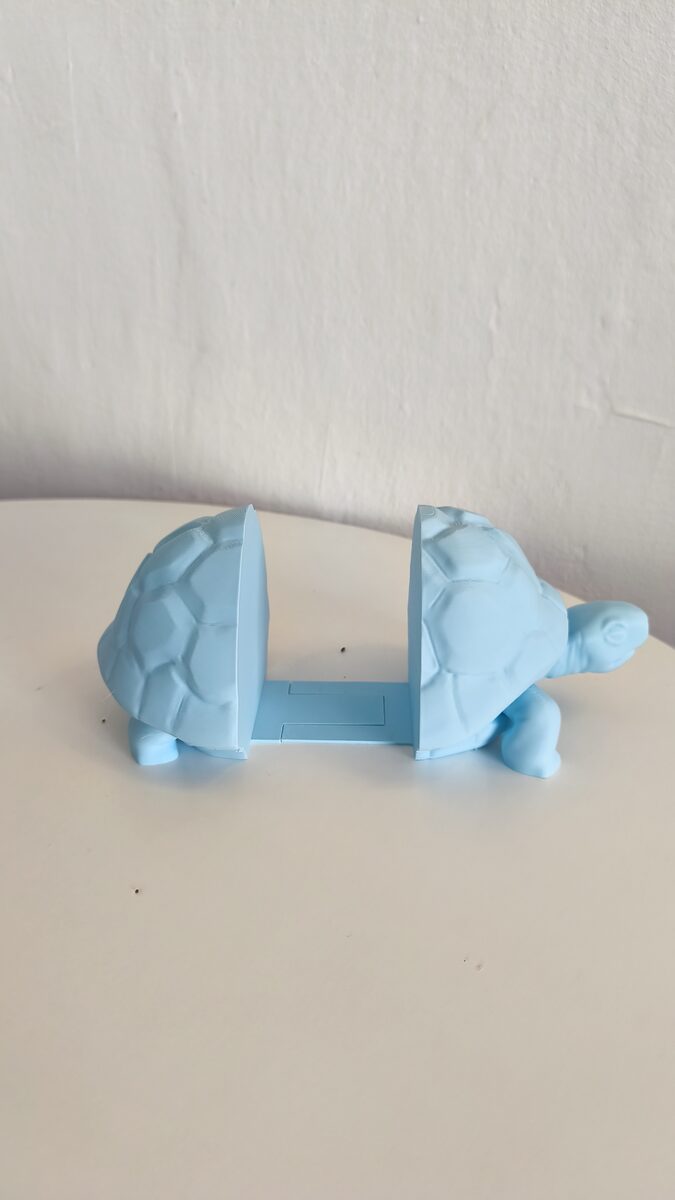Turtle Bookend