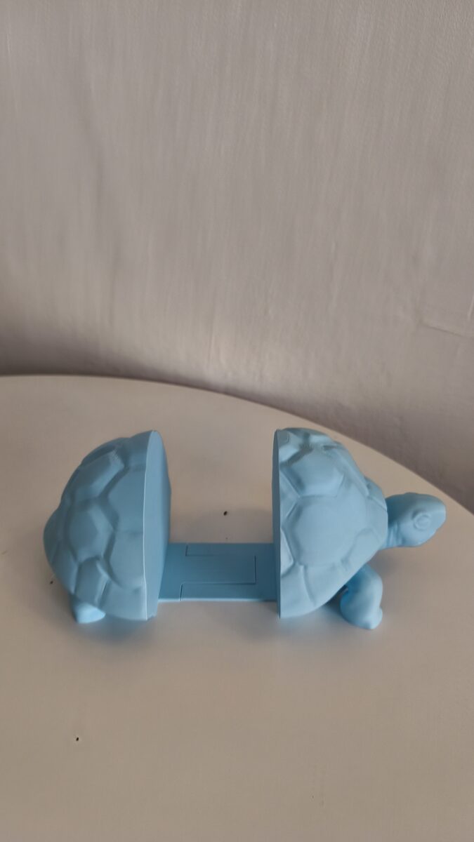 Turtle Bookend