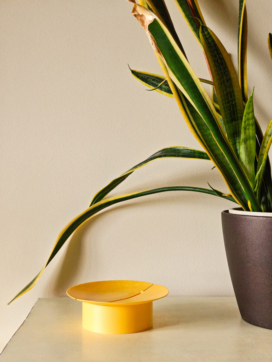 Sun Tray