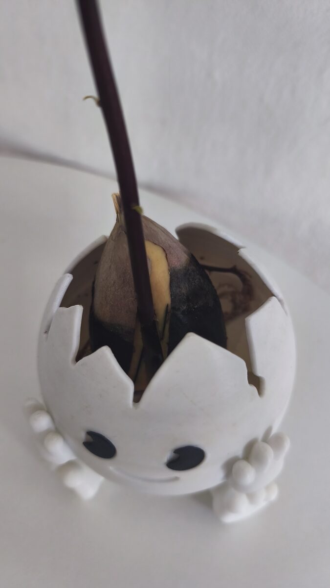 Avacado Egg Planter