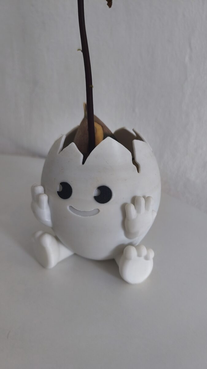 Avacado Egg Planter