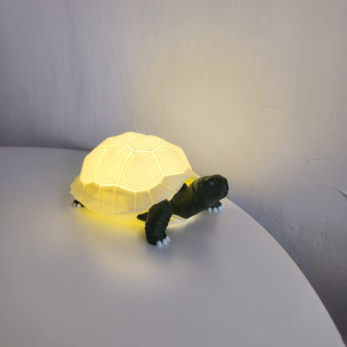 Tortoise Lamp