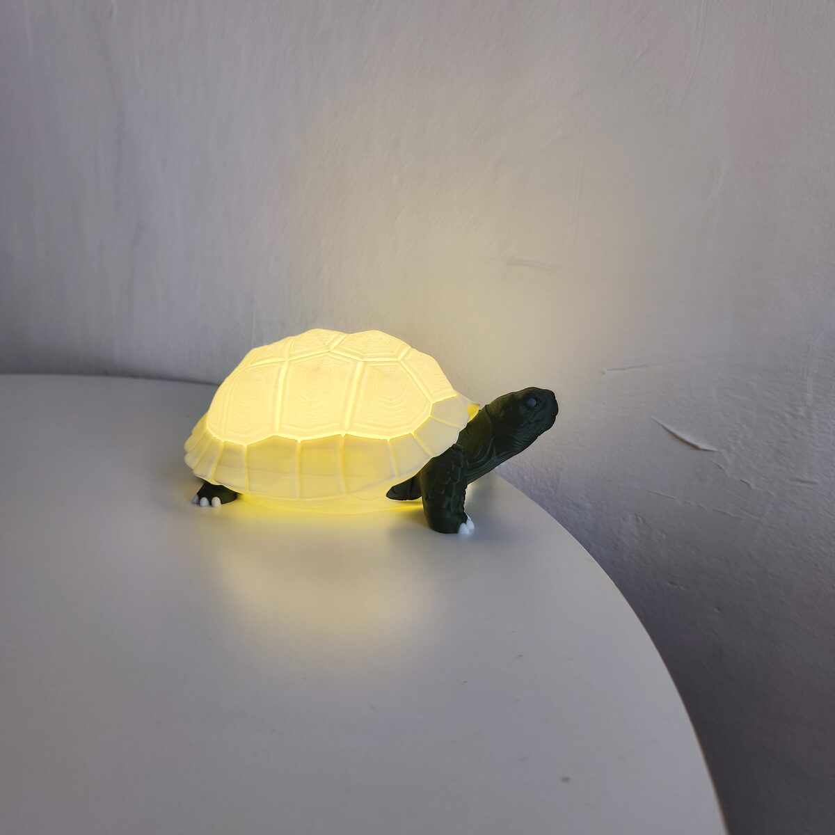 Tortoise Lamp