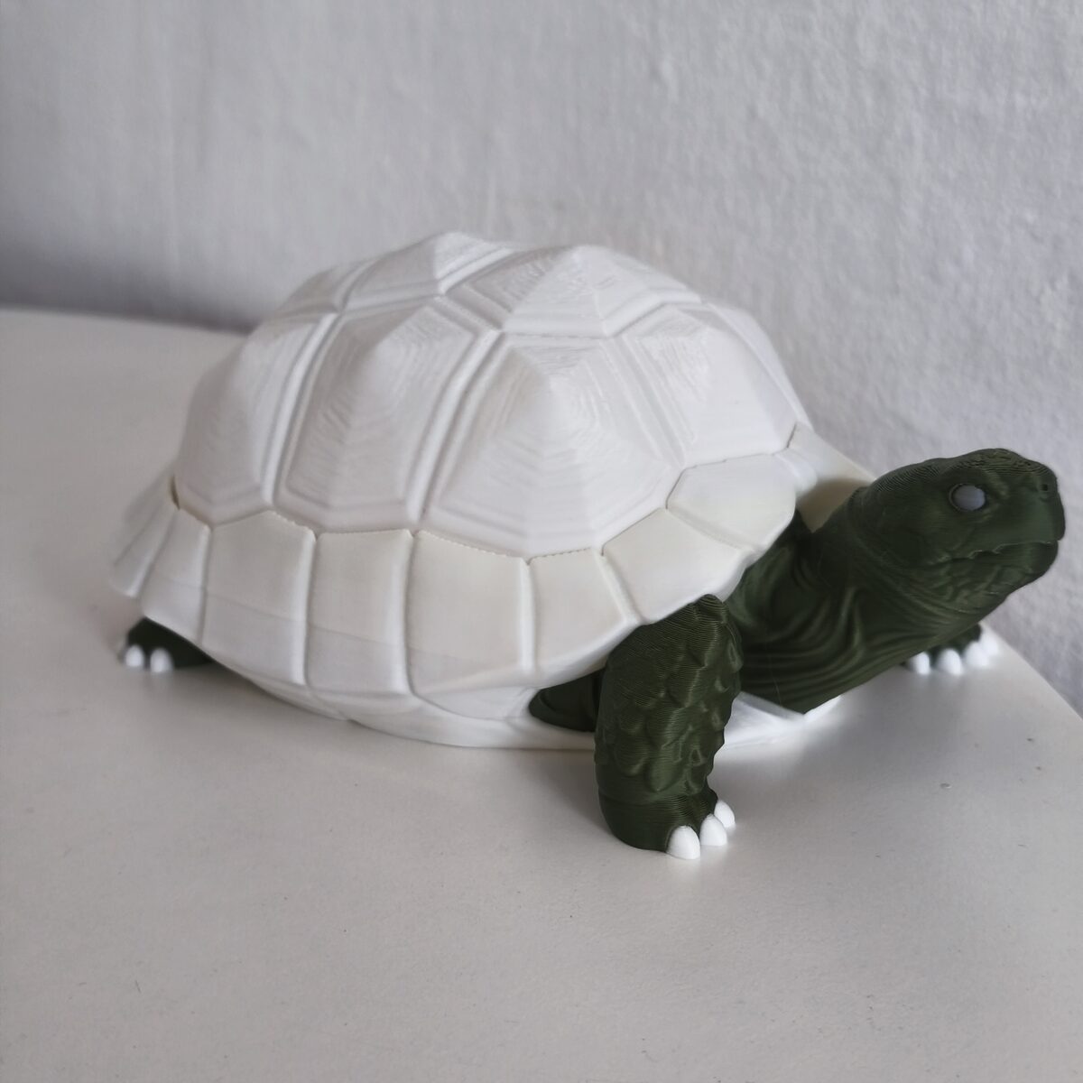 Tortoise Lamp