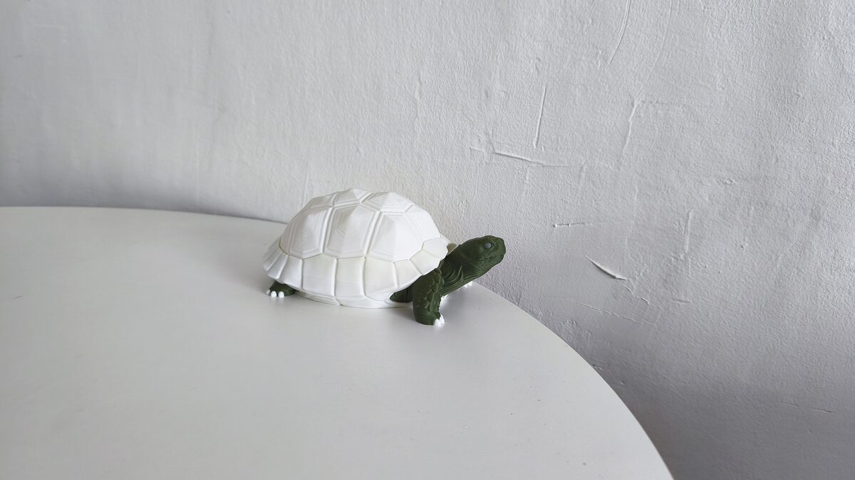 Tortoise Lamp - OzFDM