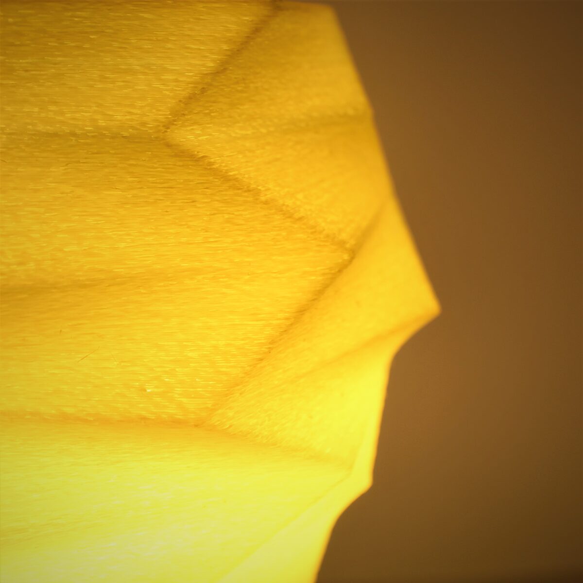 Reversed Lampshade
