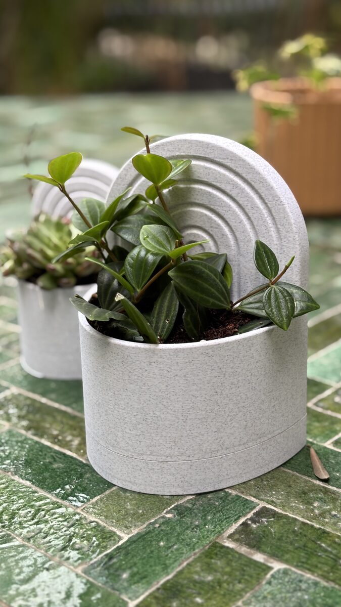 Bookend Planter With Water Reservoir - OzFDM