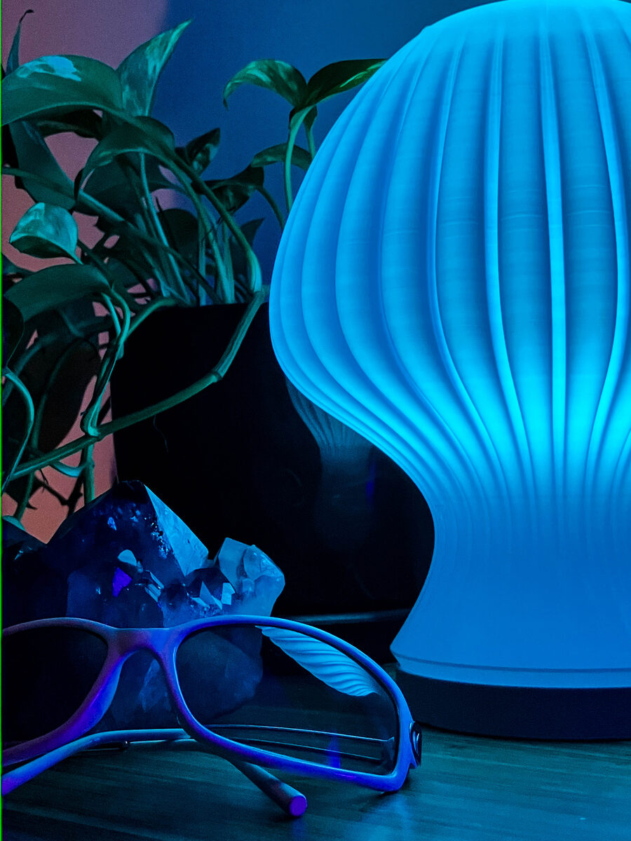 Blob Mushroom Lampshade
