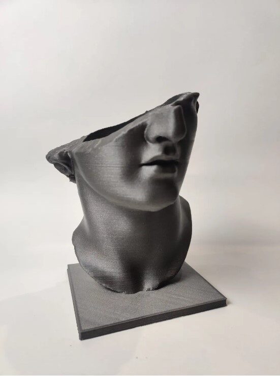 Venus Elegance Sculptural Vase - OzFDM