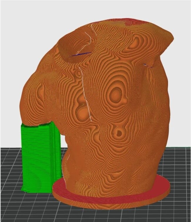 Gaddhi – Torso-inspired Vase - OzFDM