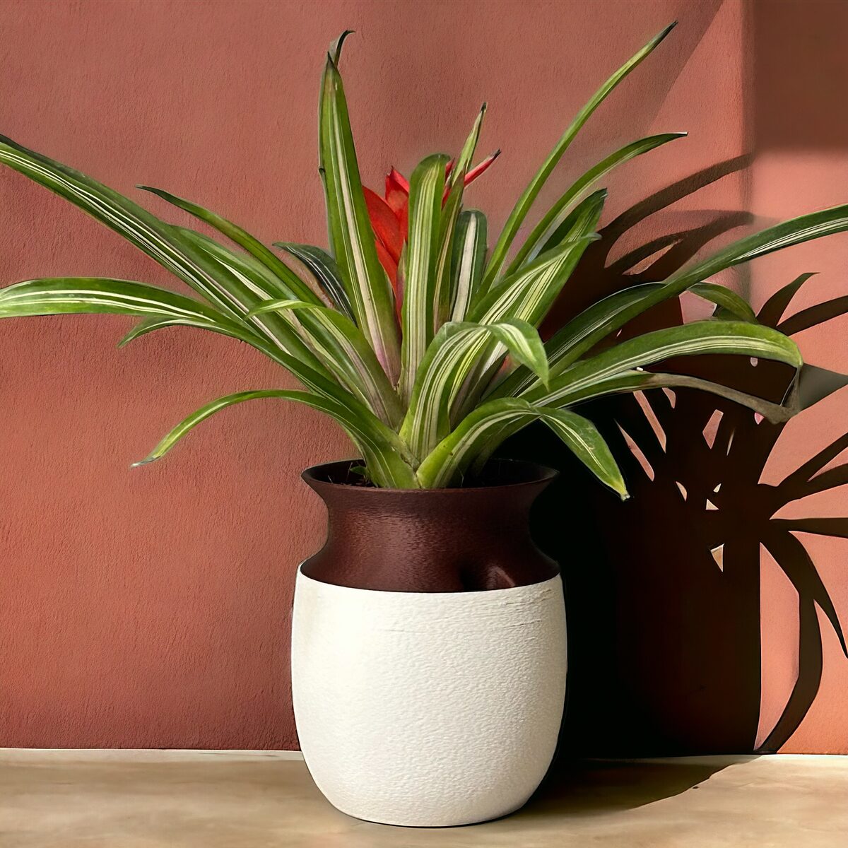 Kyoto | Self-watering Planter