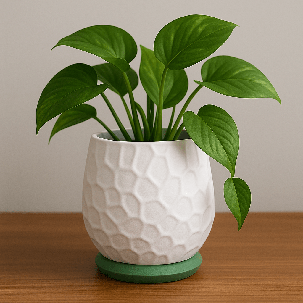 Nido Planter - OzFDM
