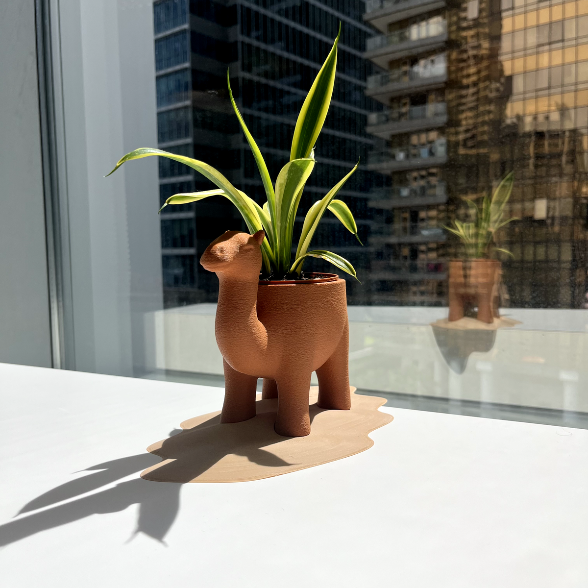 Camelpot