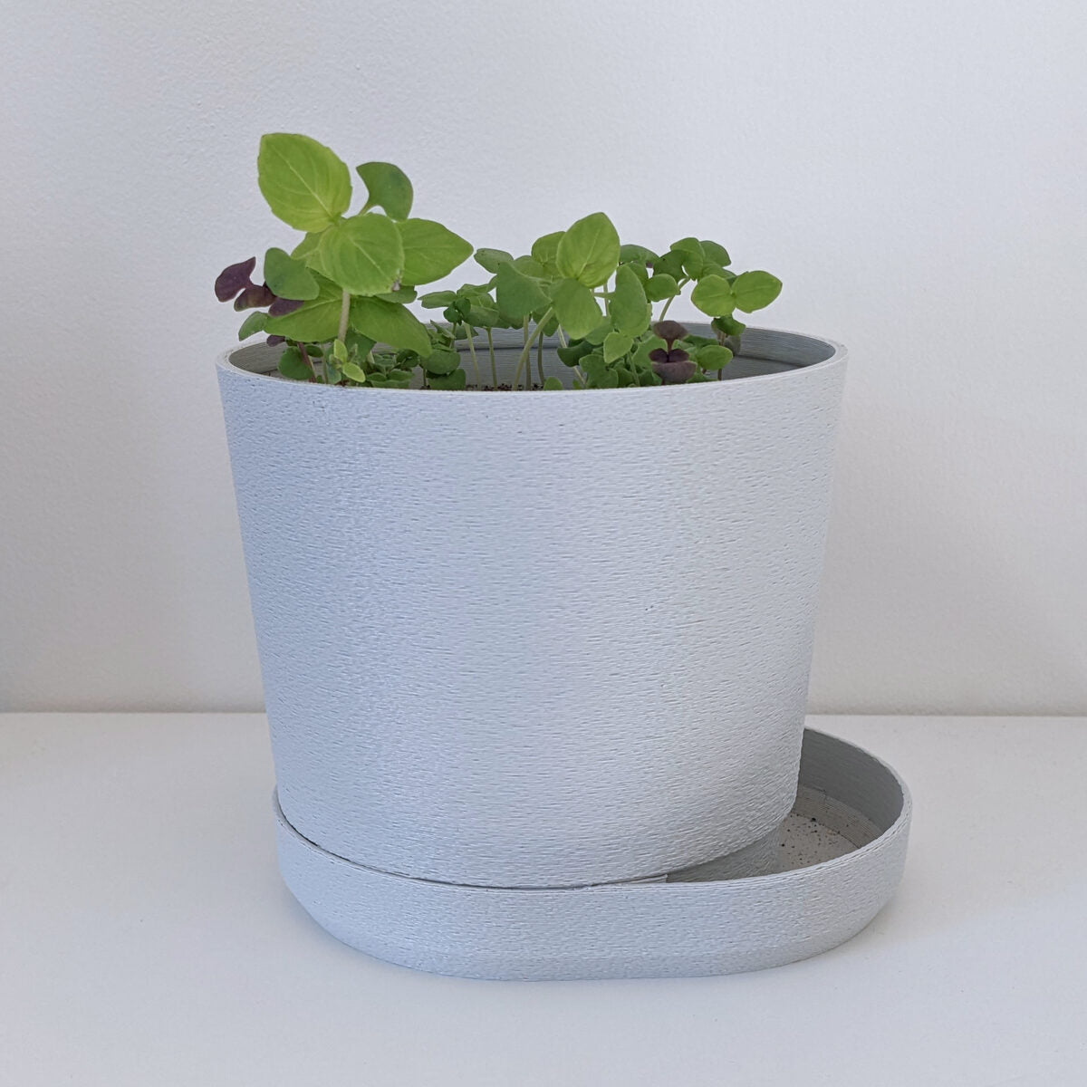 Planter 03
