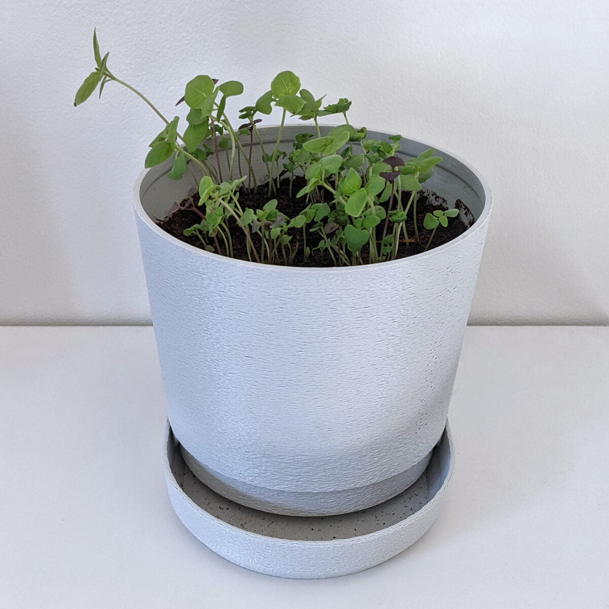 Planter 03