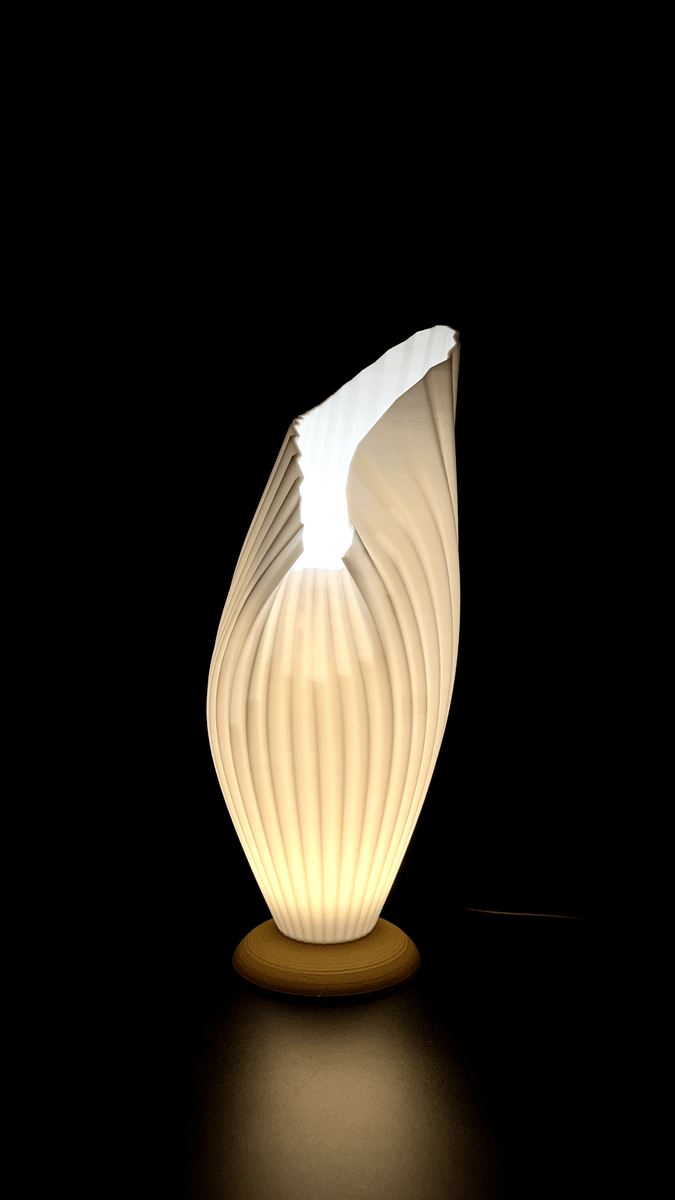 Foldedinside Lamp - OzFDM