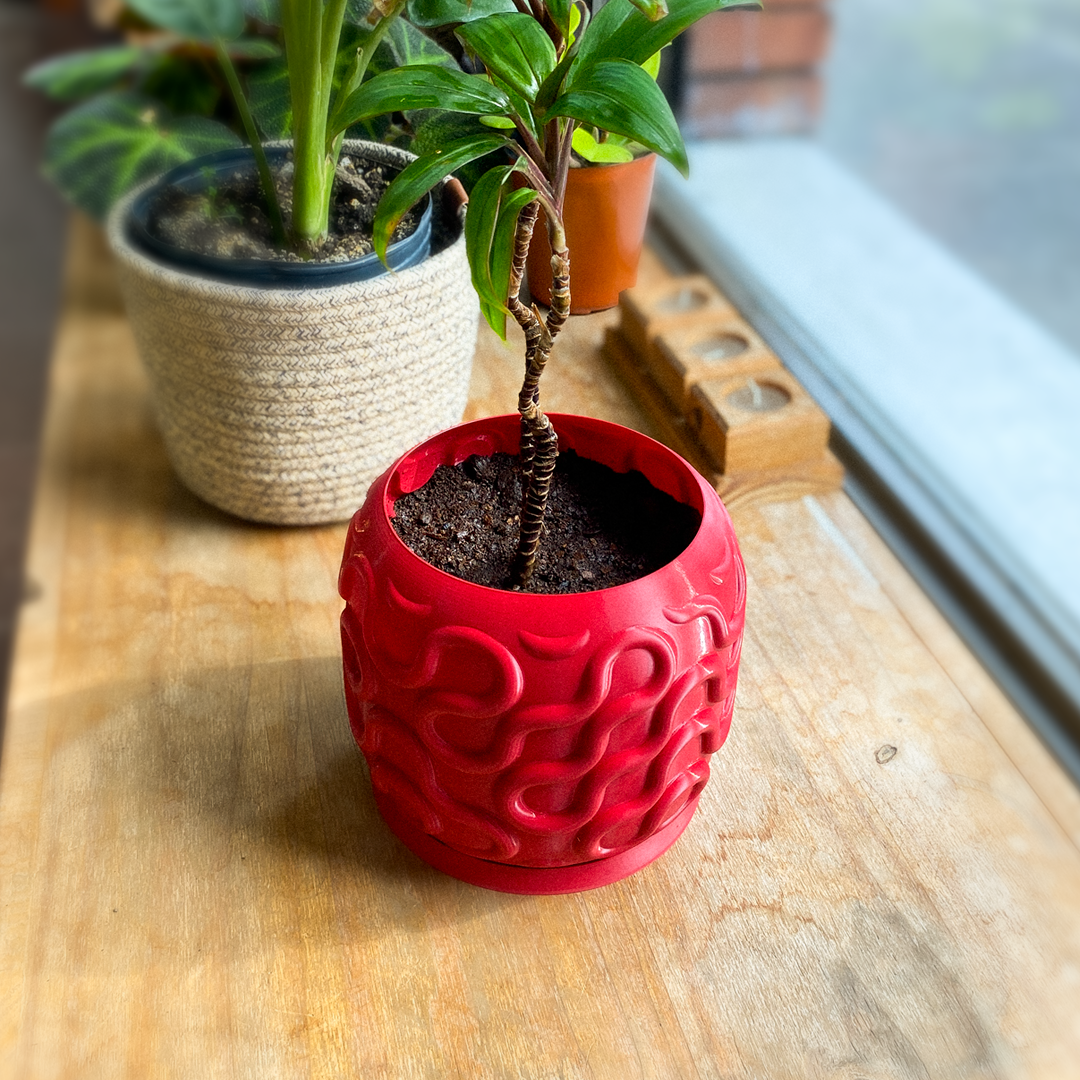 Seamless Planter Pot - OzFDM